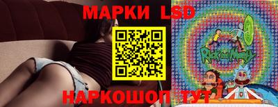 сатива Новодвинск