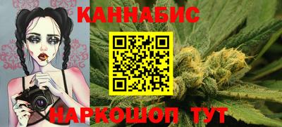 сатива Новодвинск