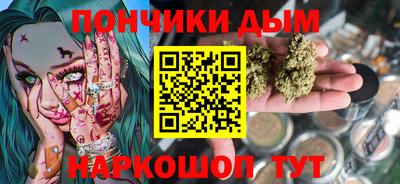 сатива Новодвинск