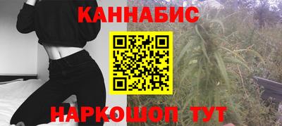 стафф Новокубанск