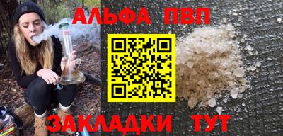 сатива Новодвинск