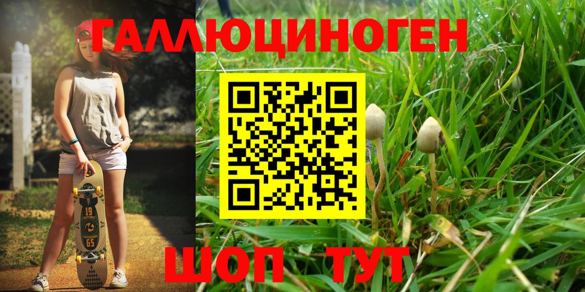 Озёры  Псилоцибиновые грибы MAGIC MUSHROOMS  Псилоцибиновые грибы прущие грибы  Вход с VPN 