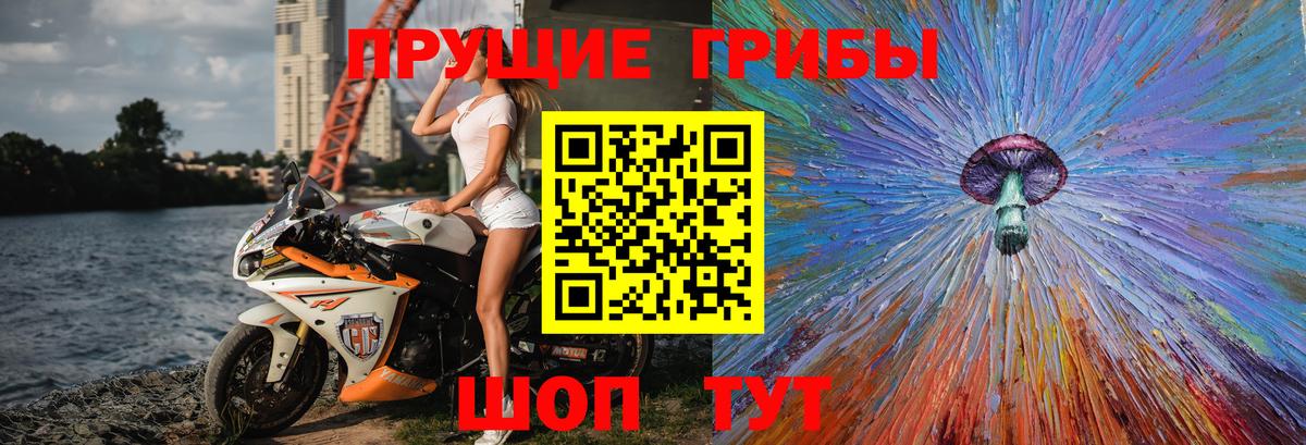 Псилоцибиновые грибы мухоморы Озёры